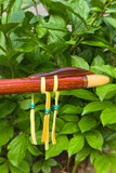 Lacewood-Rosewood & Sitka Spruce-key of F# (743F#)